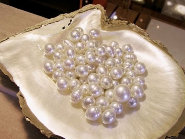 Guide to Distinguishing Between Genuine and Fake Phu Quoc Pearls