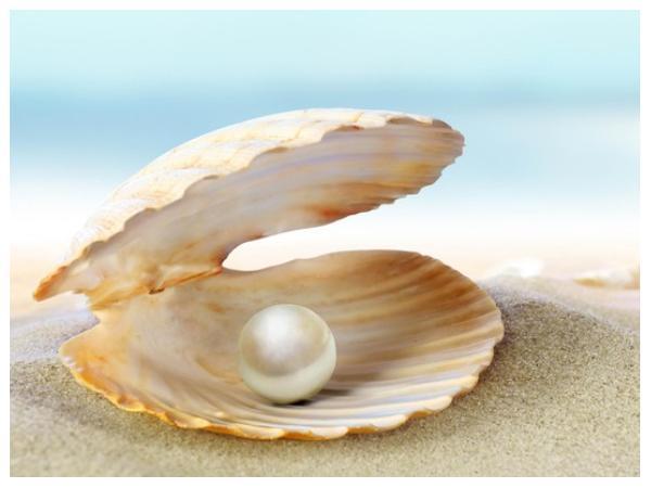 All products of Phu Quoc pearl farm are of high quality