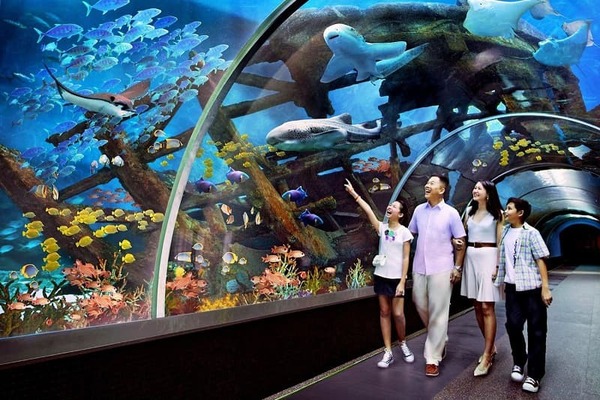 Reviewing Phu Quoc Aquarium with 5 Exciting Experiences