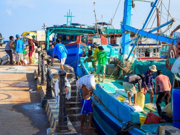 Nên trải nghiệm làm ngư dân ở Làng chài một lần khi du lịch